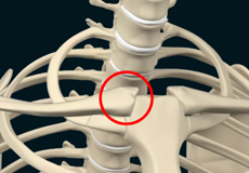 Sternoclavicular Joint Injury