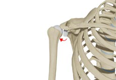 Posterior Shoulder Instability